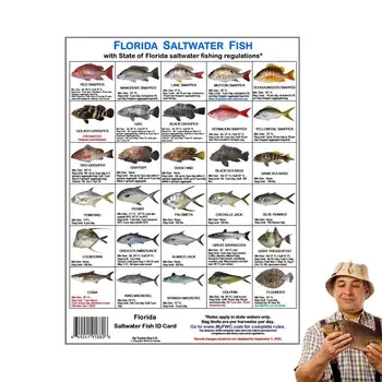 Идентификационная карта рыбака Гид по видам рыб с магнитами Идентификационная карта морской рыбы Флориды для пляжных лодок-доков